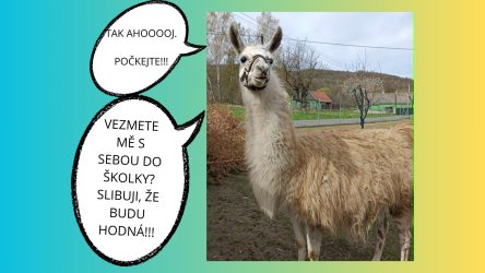 Výlet do minizoo v Nových Heřmínovech