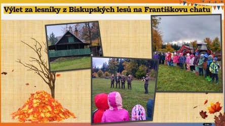 Výlet do lesa
