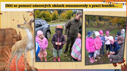 Výlet do lesa