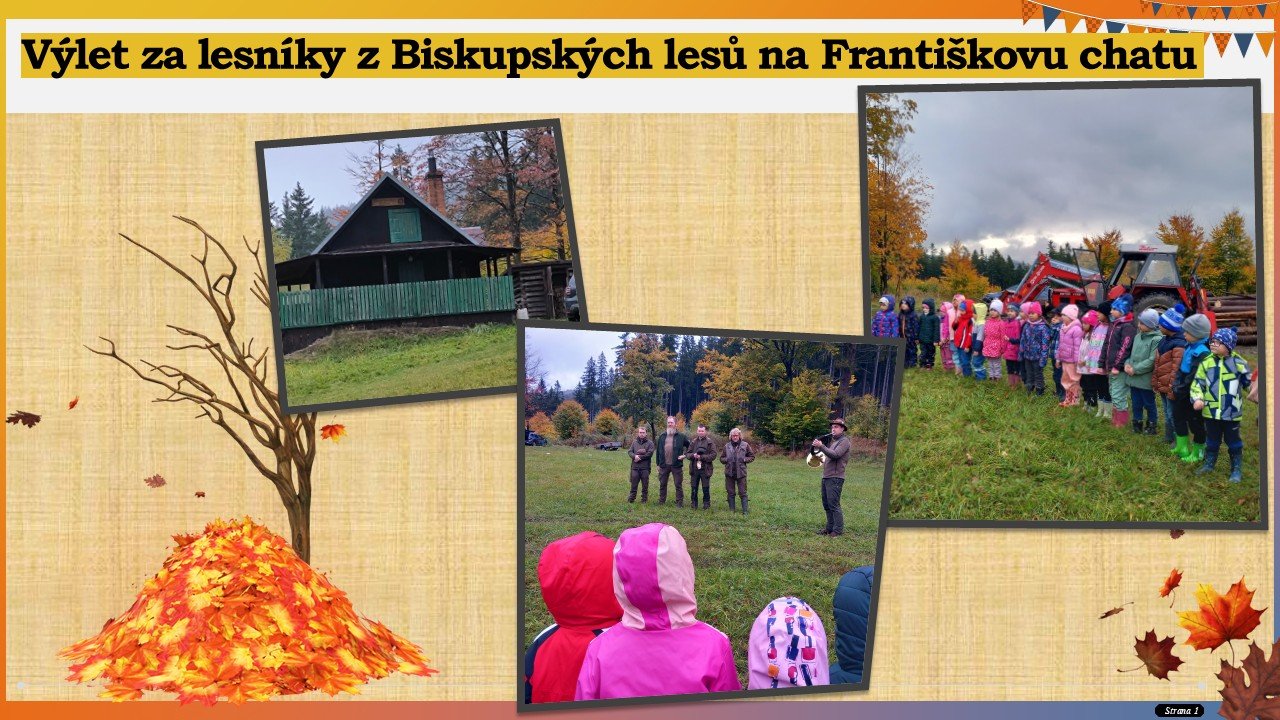 Výlet do lesa