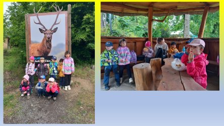 Výlet do ZOO